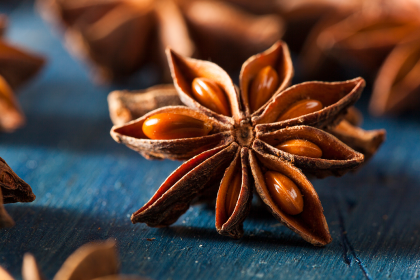 Totul despre anasonul stelat