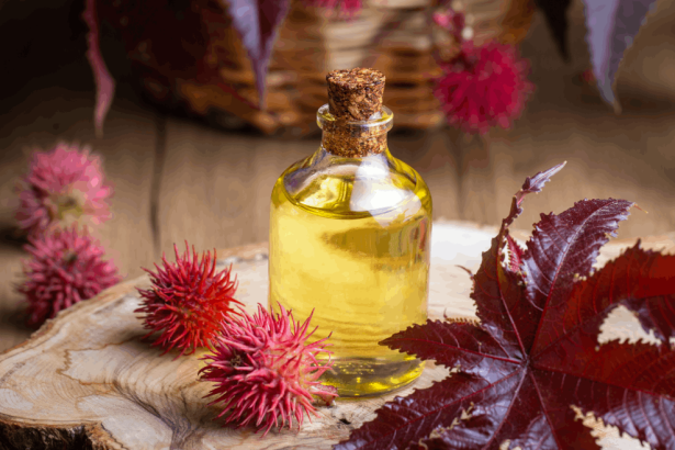 Tot ce trebuie să știi despre Uleiul de Ricin: Utilizări și Beneficii